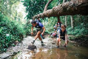 BIB: 
                            <button type="button" onclick="openModal(25369126)" class="btn btn-primary btn-sm float-right btn-popup" data-toggle="modal" data-target=".modal-high-quality">
                        <i class="fas fa-shopping-cart"></i> Add to Cart
                    </button>
                                            <button type="button" onclick="isThisMe(25369126, true)" class="btn btn-success btn-sm float-right btn-popup btn-isme hidden" data-toggle="tooltip" data-placement="bottom" title="นี่คือรูปของคุณใช่ไหม คลิกที่นี่เพื่อเอาเข้าอัลบั้ม">
                        <i class="fas fa-plus"></i> Add to album
                    </button>
                    <button type="button" onclick="isThisMe(25369126, false)" class="btn btn-warning btn-sm float-right btn-popup btn-isnotme hidden">
                        <i class="fas fa-ban"></i> Remove from album
                    </button>